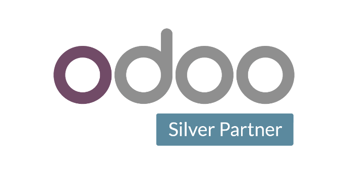 Silver Partner